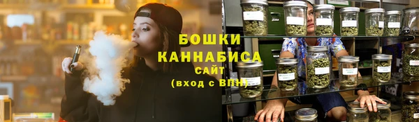 спайс Чита