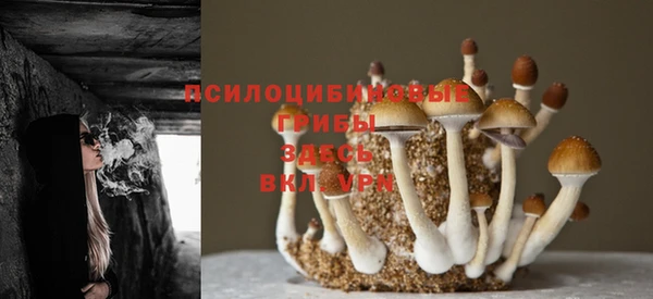 винт Рославль
