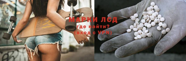 гидра Горнозаводск