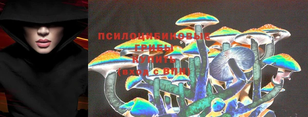винт Рославль