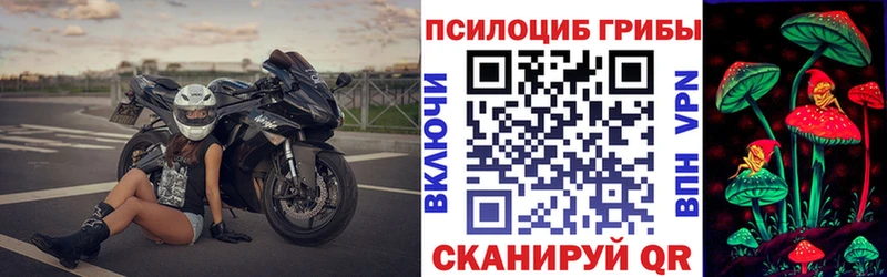 цены   Новотитаровская  Галлюциногенные грибы Psilocybine cubensis 